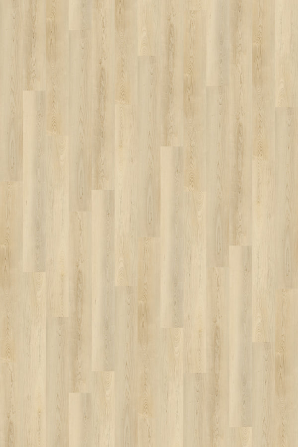 Vinyl Del Sol D-SC-DS Prime Specimens Collection