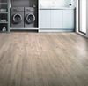 Laminate Asher Gray Oak Elderwood