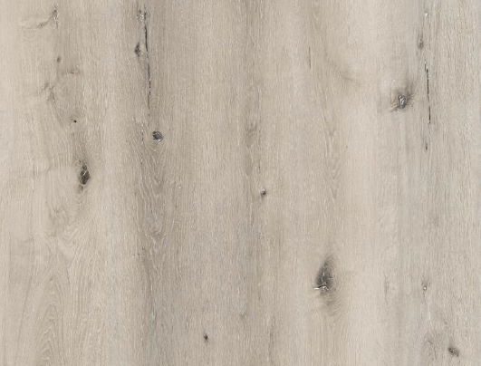 Special First Quality Vinyl Twilight SE FG010395 Rigidcore Group 9