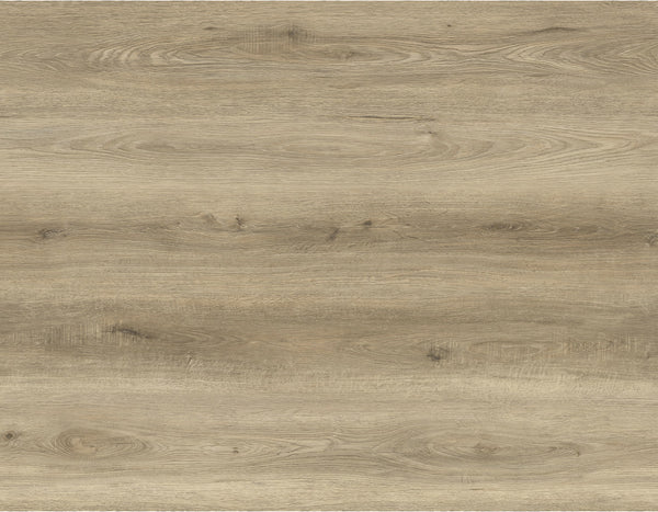 Vinyl DOLCE BB-I The Bambino Collection