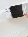 Is It Better to Paint Before Installing Carpet? Weighing the Pros and Cons