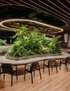 Flooring the Natural Way: Our Love for Biophilic Design