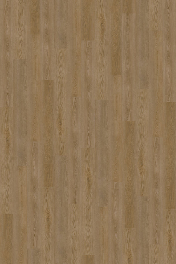 Vinyl Alba D-SC-AL Prime Specimens Collection