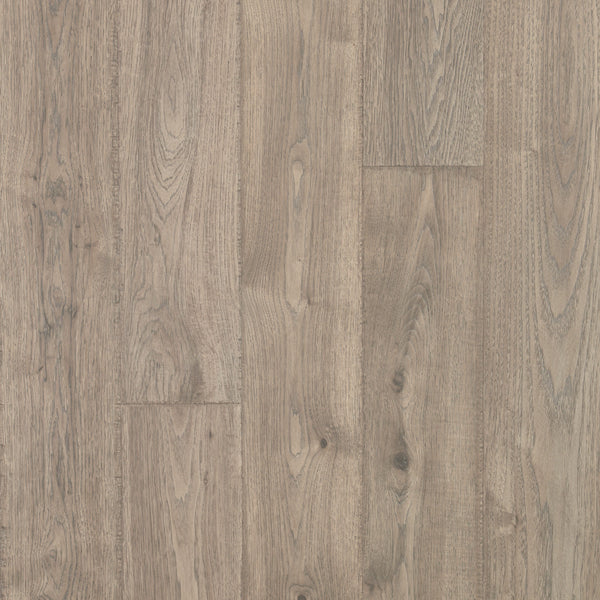 Laminate Asher Gray Oak  Elderwood