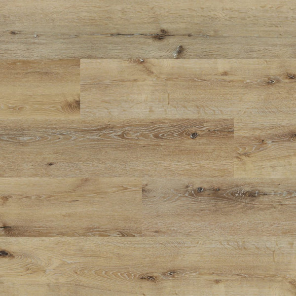 Vinyl PS8304- Daly LEGENDS PLUS COLLECTION