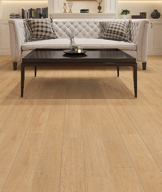 Vinyl Maverick DVRVP553-C ScratchBoss Collection