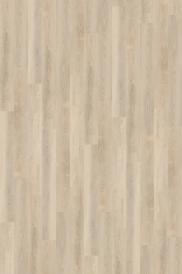 Vinyl Merriment D-SC-ME Prime Specimens Collection