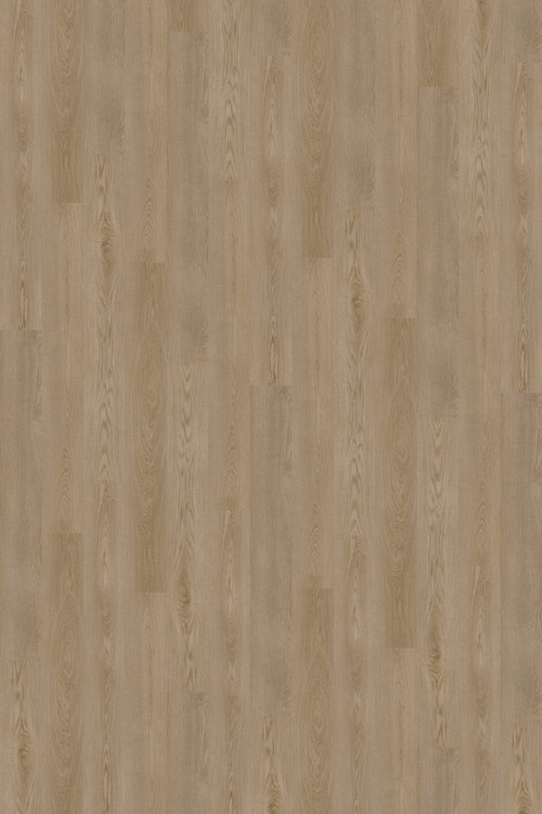 Vinyl Spectacle D-SC-SP Prime Specimens Collection