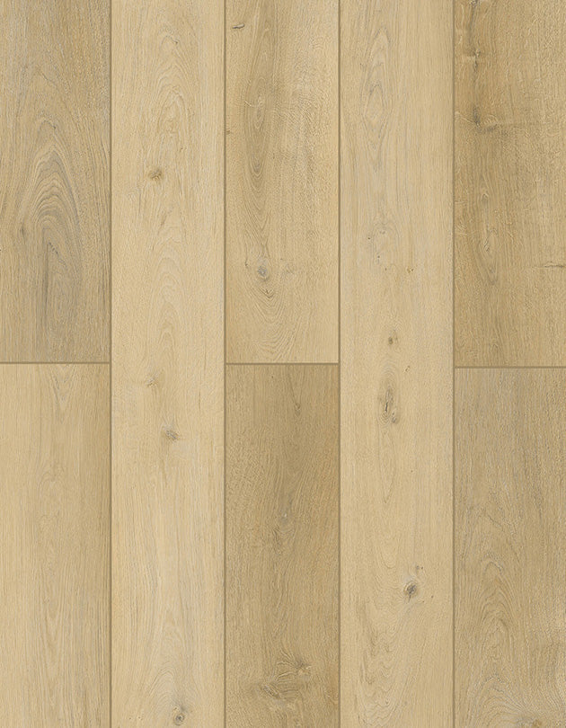 Vinyl LI-TS01 Sunnyside Up LONE STAR SPIRIT