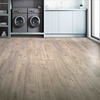 Laminate Asher Gray Oak  Elderwood