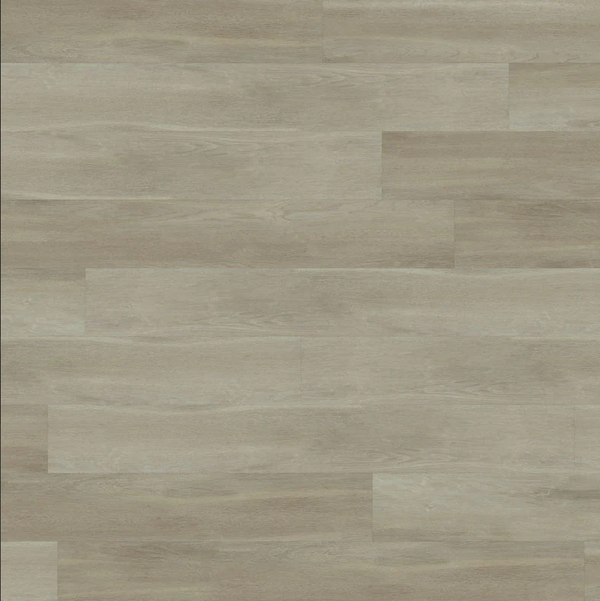 Vinyl Bergen NBP008-HDC BRIXTON