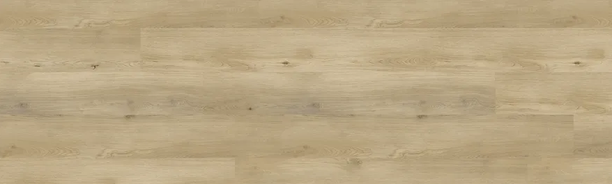 Vinyl Hayes RECG3004  Country Gem Collection