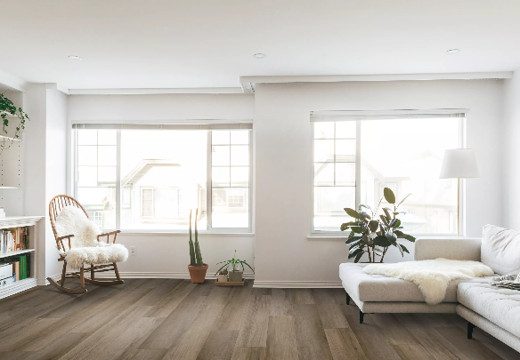 Vinyl Juneau Long Bien 2.0