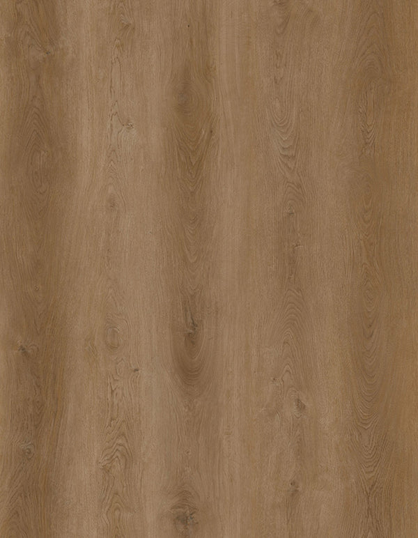 Vinyl FORTRESS DAWN LI-ID06 The Indoor Delight Collection